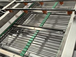 Fully-Automatic-Frozen-French-Fry-Production-Line02