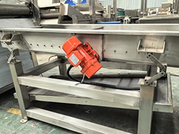 Fully-Automatic-Frozen-French-Fry-Production-Line09