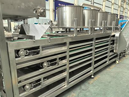 Fully-Automatic-Frozen-French-Fry-Production-Line14