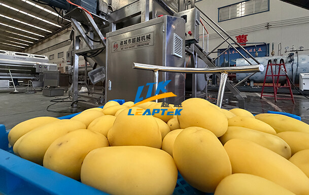 Leaptek Machinery Achieves Major Breakthrough in R&D: Steam Peeling Equipment Leads a Revolution in Food Processing Efficiency