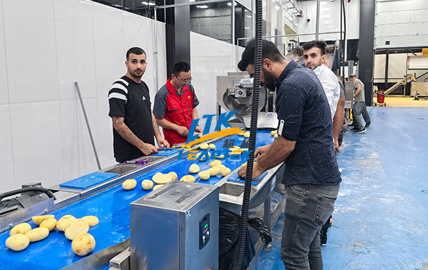 Turkish 500kg French Fries Production Line