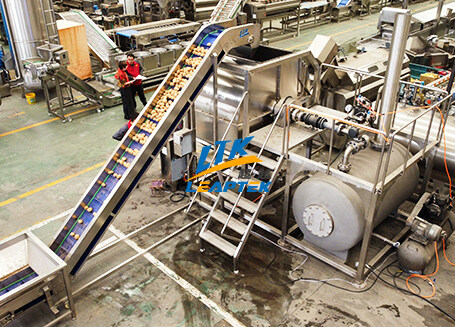 Potato Peeling Machine