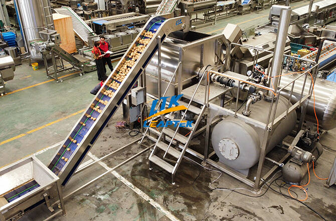 Automatic Steaming Peeling Machine