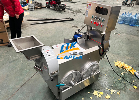 Dual Head Digital Vegetable Cutter