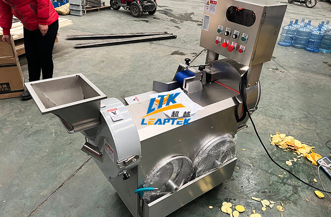 Dual Head Digital Vegetable Cutter