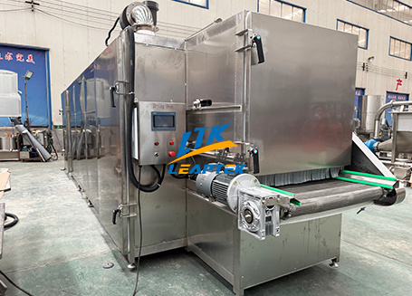 Continuous Fryer