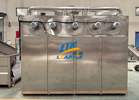Continuous Fryer