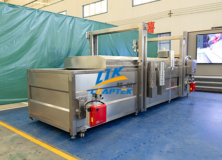 Continuous Fryer