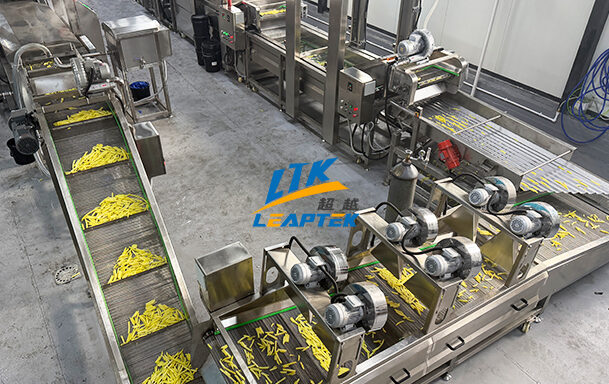 200kg/h Frozen French Fries Production Line Successfully Installed in Georgia